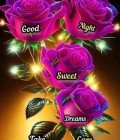 Pasquale Site de rencontre femme thai Etats-Unis rencontres célibataires 32 ans